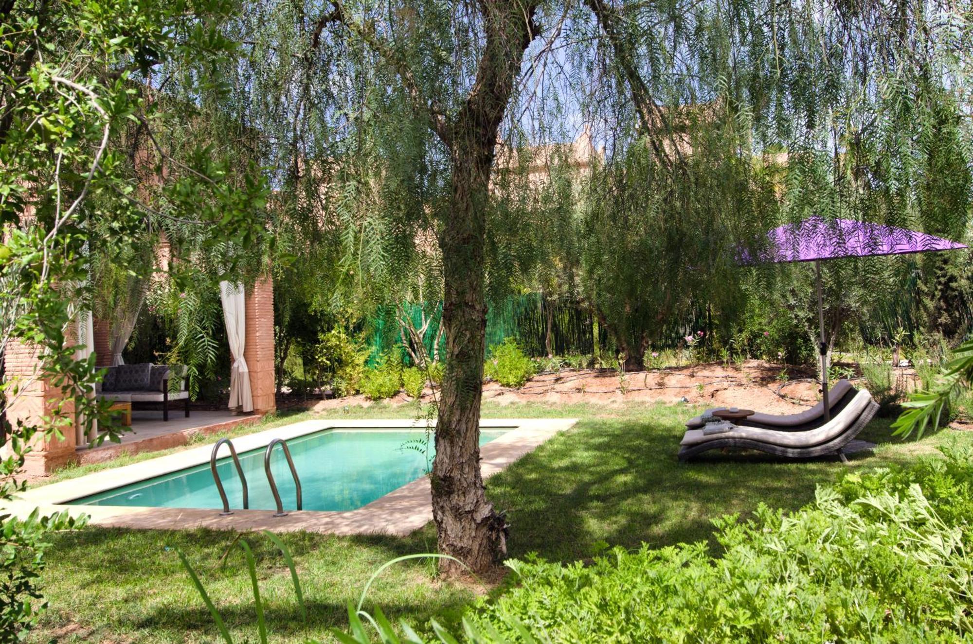 Tigmiza Boutique Hotel & Spa Ouled Jelal Szoba fotó The garden of the Riad